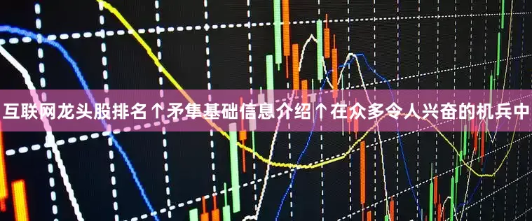 互联网龙头股排名↑矛隼基础信息介绍↑在众多令人兴奋的机兵中