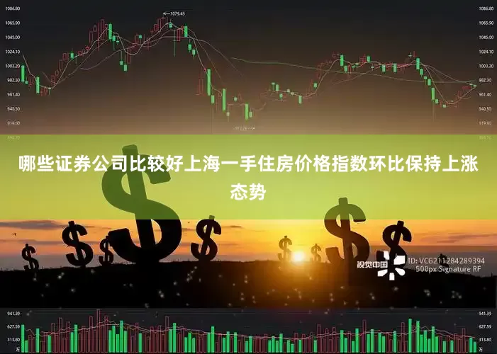 哪些证券公司比较好上海一手住房价格指数环比保持上涨态势