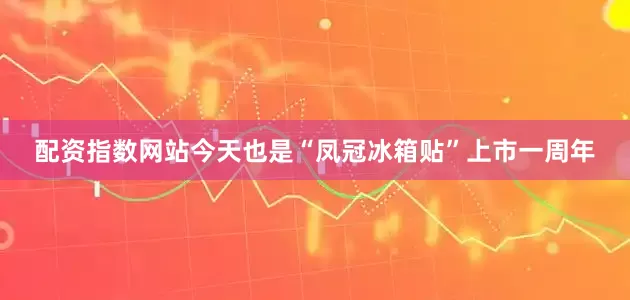配资指数网站今天也是“凤冠冰箱贴”上市一周年
